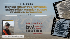 Přednáška