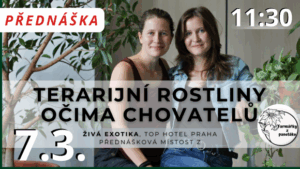 Přednáška