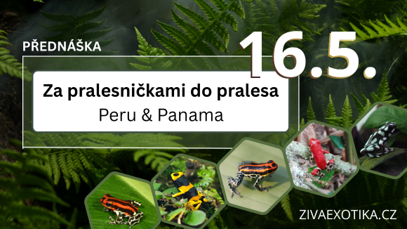 ZE_popup_20260516 Přednáška