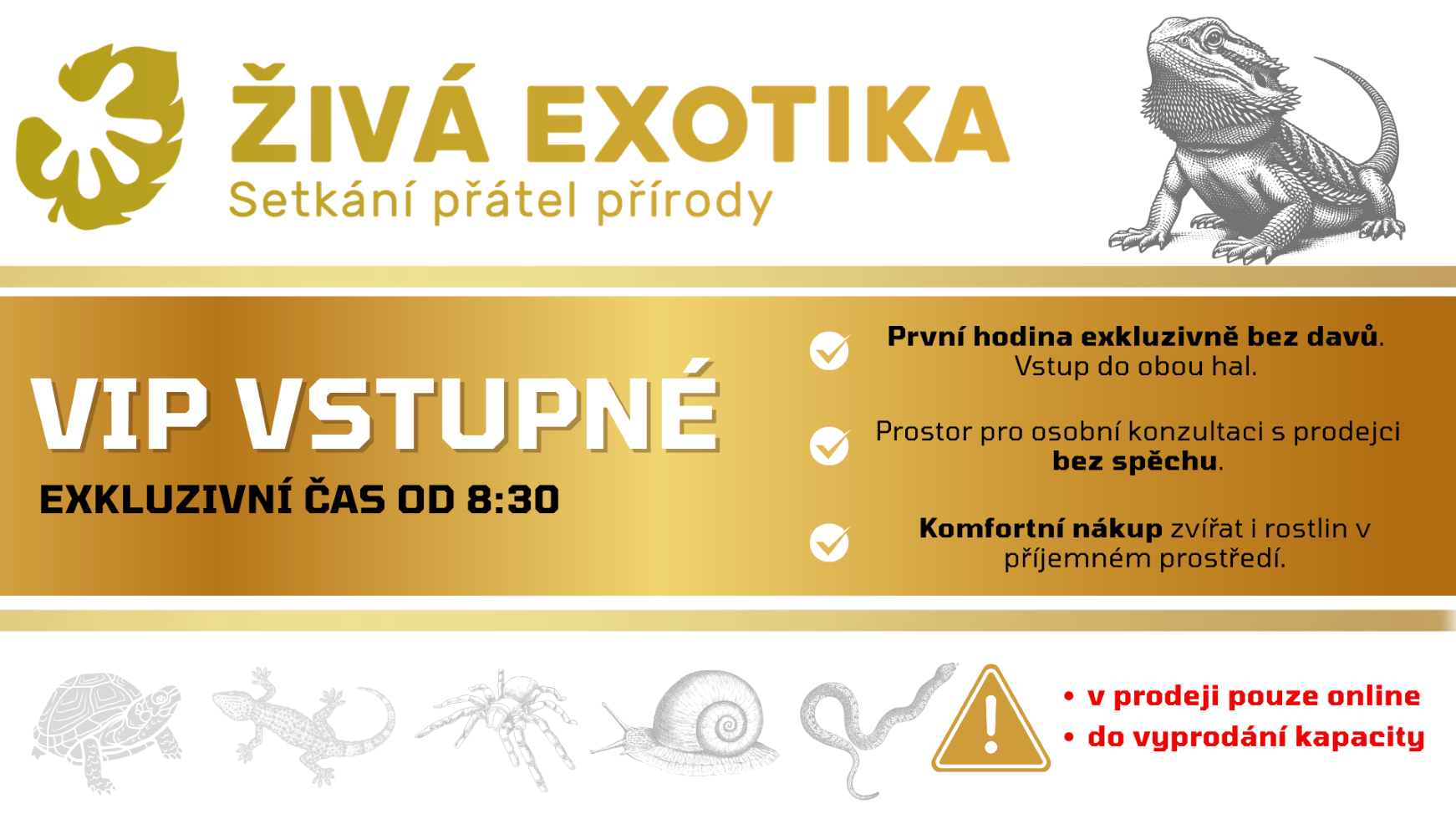 VIP_vstupne_20260613 VIP vstupné