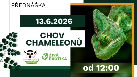 ZE_prednaska_20260613 Přednáška