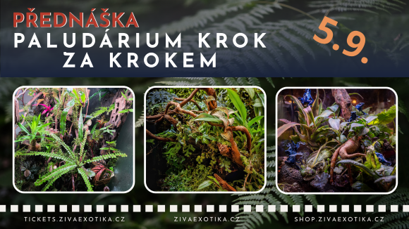 FB_udalost_web Přednáška - Paludárium krok za krokem