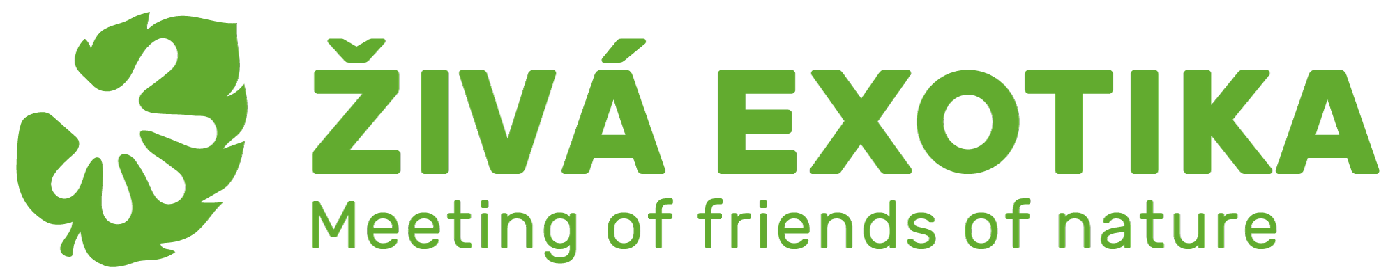 Zurück zur Startseite