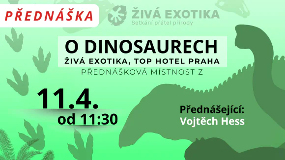 prednaska_ZE_20260411 Přednáška