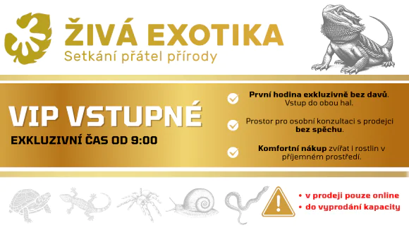 VIP_vstup